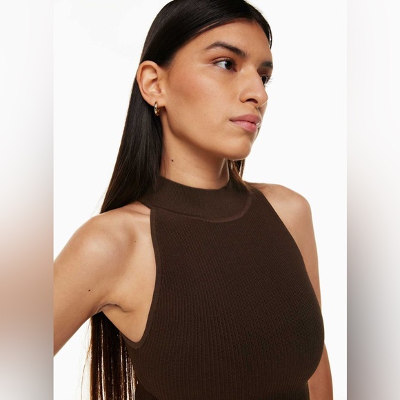 Aritzia Babaton Sculpt Knit Mockneck Halter Top Chocolate Brown - Picture 11 of 15
